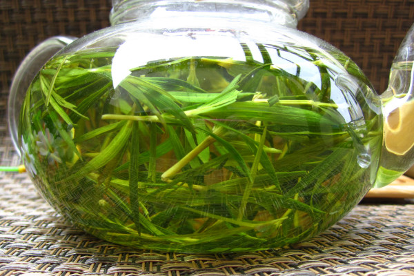 竹葉茶是什么茶,竹葉茶是綠茶嗎