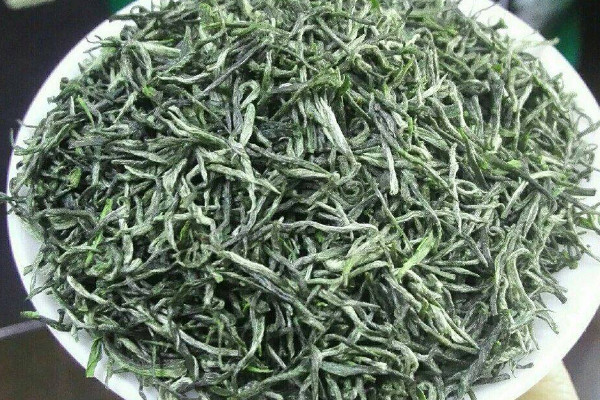 高山茶屬于什么茶,高山茶是哪種茶