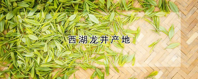 西湖龍井產(chǎn)地