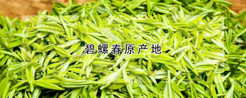 碧螺春原產(chǎn)地