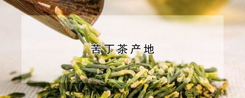 苦丁茶產(chǎn)地