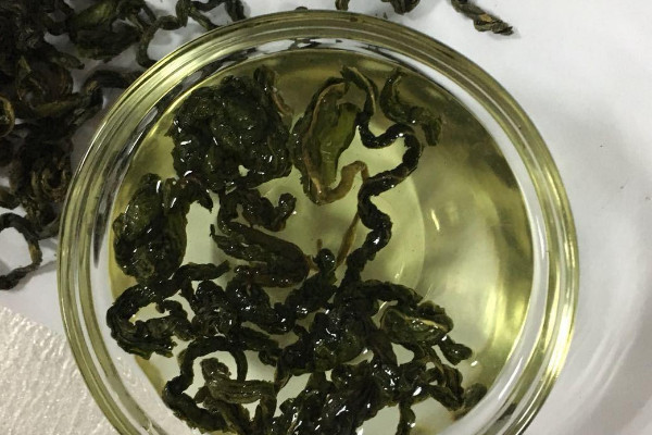 刺五加茶是什么茶,刺五加茶屬于哪種茶