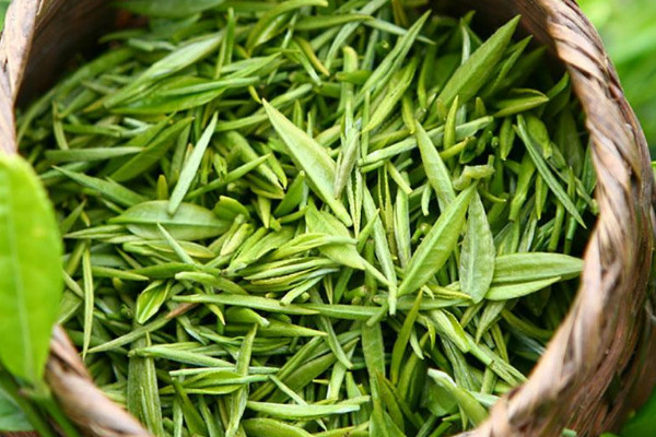 岳西翠蘭是什么茶,岳西翠蘭是啥茶