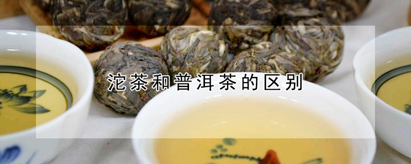 沱茶和普洱茶的區別