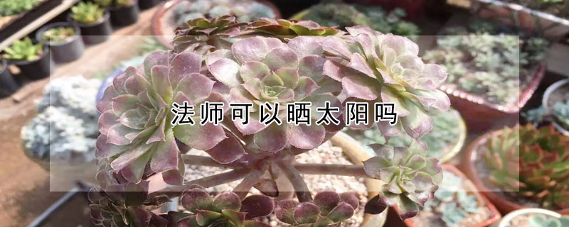 法師可以曬太陽嗎