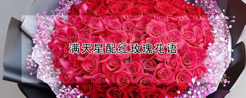 滿天星配紅玫瑰花語