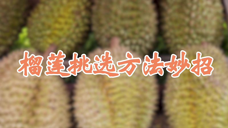 榴蓮挑選方法妙招