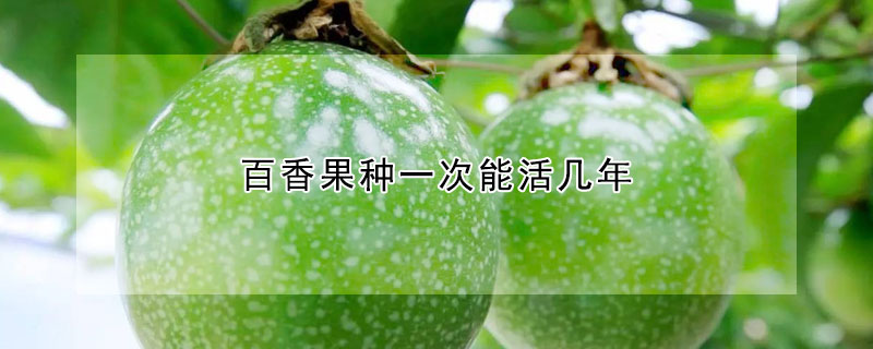 百香果種一次能活幾年