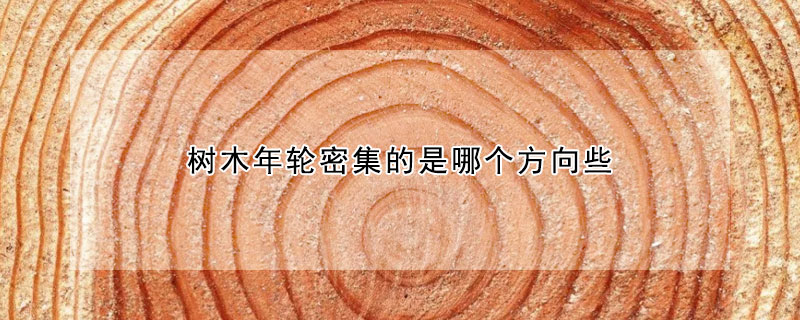 樹木年輪密集的是哪個方向