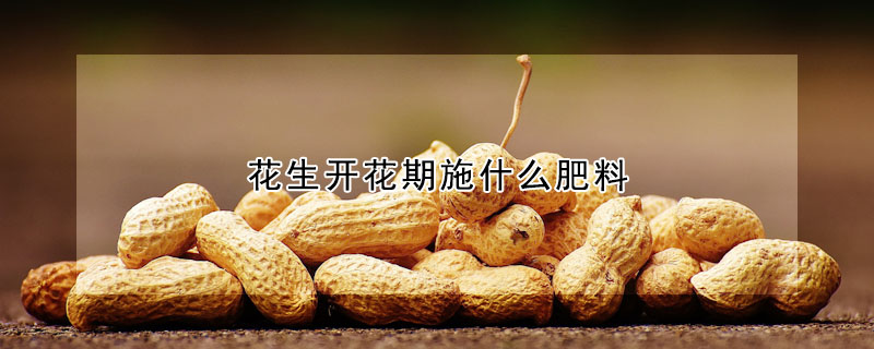 花生開(kāi)花期施什么肥料