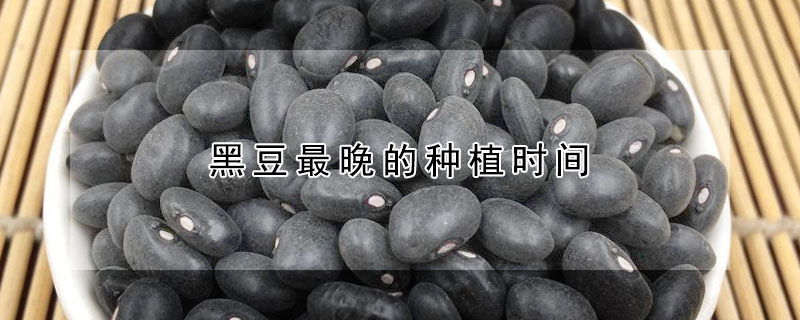 黑豆最晚的種植時間