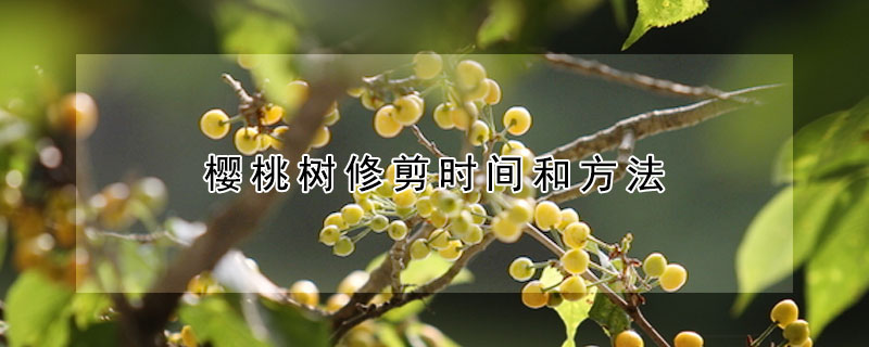 櫻桃樹修剪時(shí)間和方法