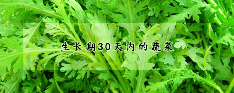生長(zhǎng)期30天內(nèi)的蔬菜