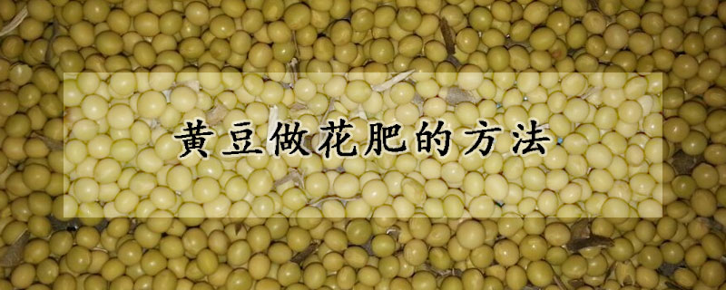 黃豆做花肥的方法