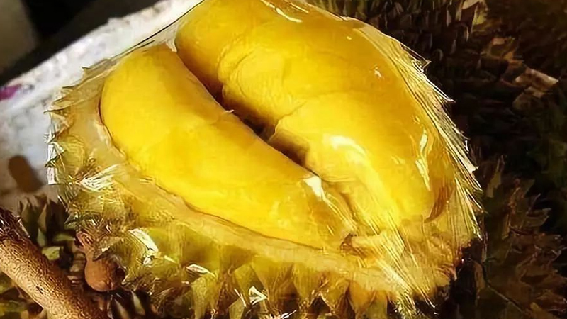 榴蓮長黑毛是什么原因