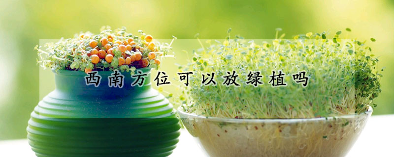 西南方位可以放綠植嗎