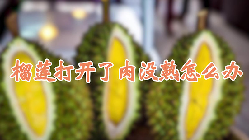 榴蓮打開了肉沒熟怎么辦