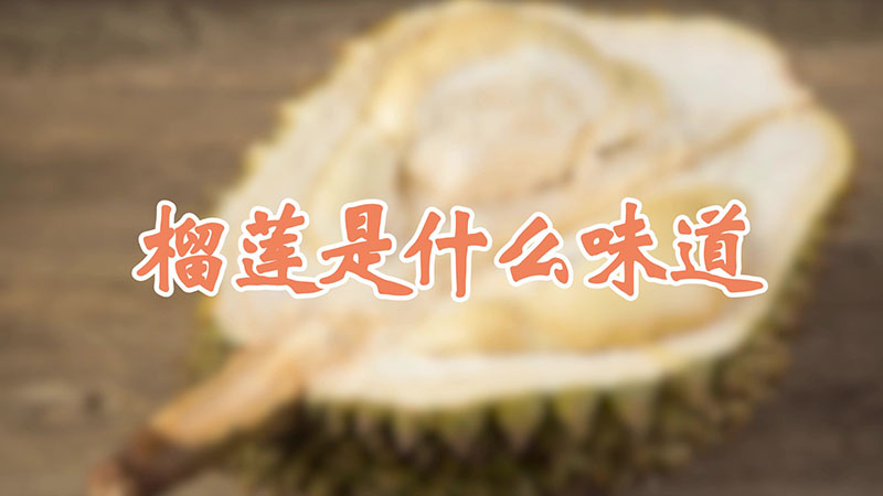 榴蓮是什么味道