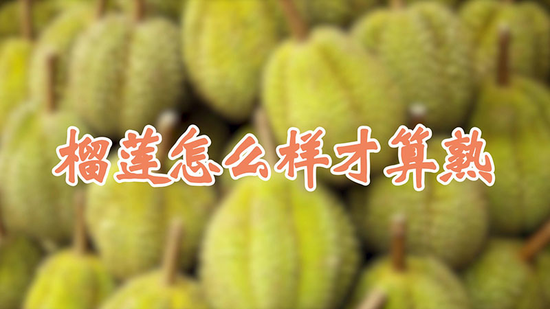 榴蓮怎么樣才算熟