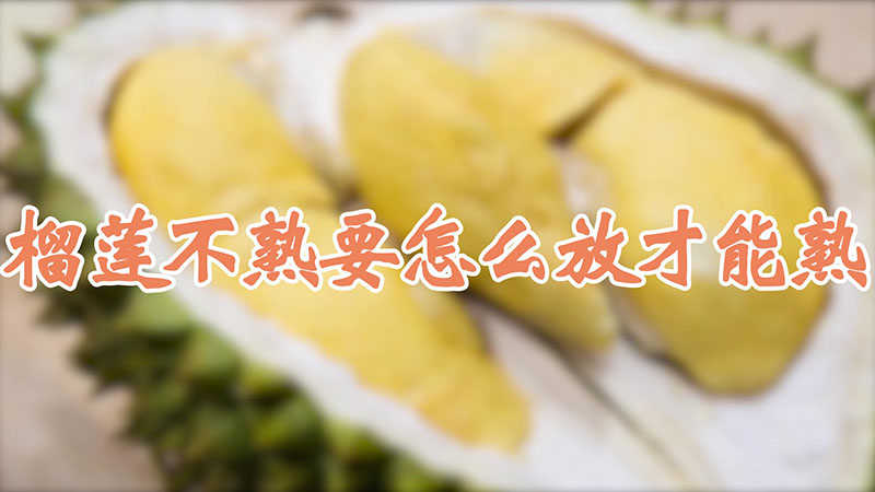 榴蓮不熟要怎么放才能熟