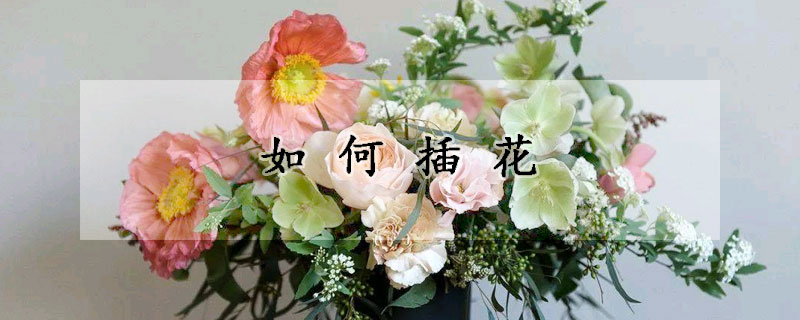 如何插花