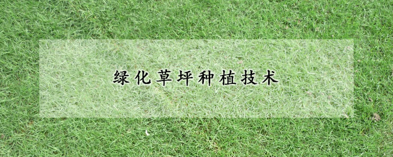 綠化草坪種植技術
