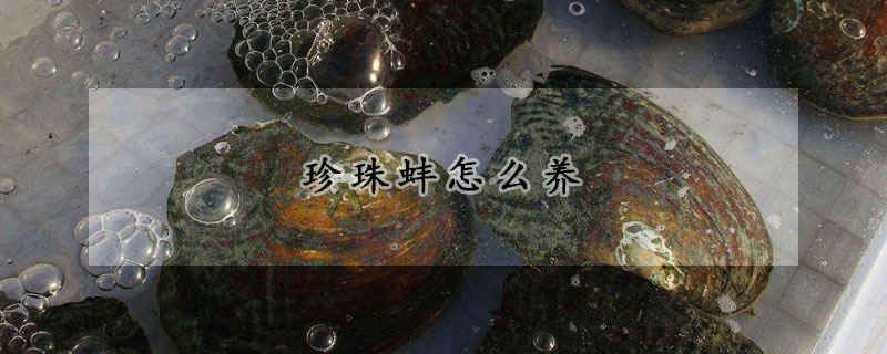珍珠蚌怎么養(yǎng)