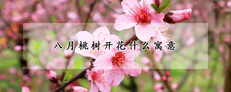 八月桃樹開花什么寓意