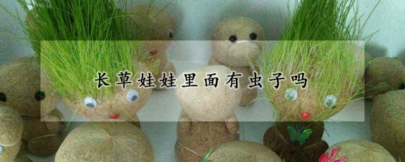 長草娃娃里面有蟲子嗎