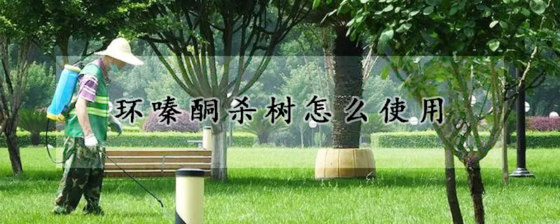 環嗪酮殺樹怎么使用