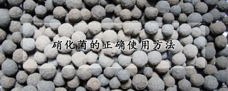 硝化菌的正確使用方法