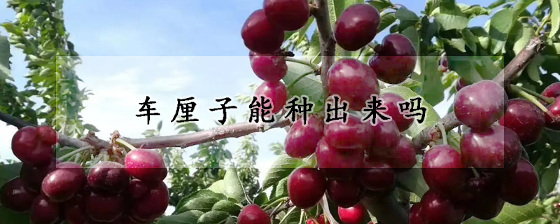車?yán)遄幽芊N出來(lái)嗎