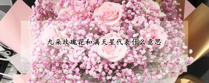 九朵玫瑰花和滿天星代表什么意思