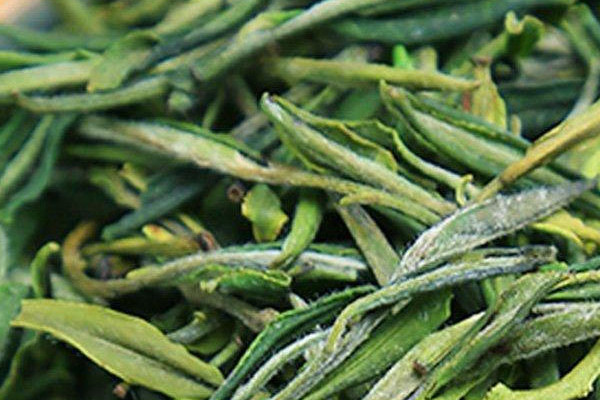 霍山黃芽屬于什么茶類,霍山黃芽屬于黃茶嗎