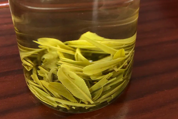 霍山黃芽屬于什么茶類,霍山黃芽屬于黃茶嗎