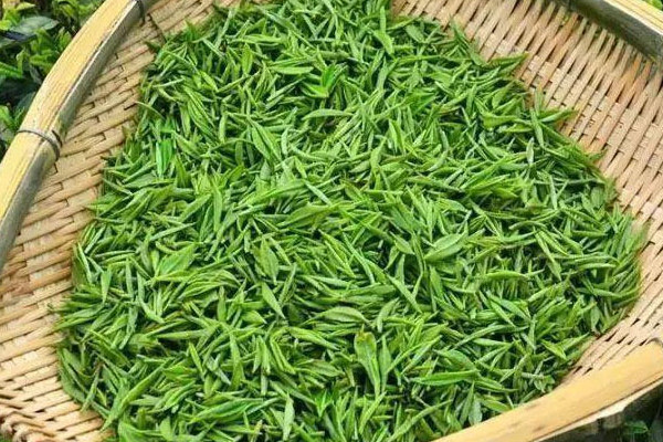 毛尖茶屬于綠茶嗎,毛尖是不是綠茶
