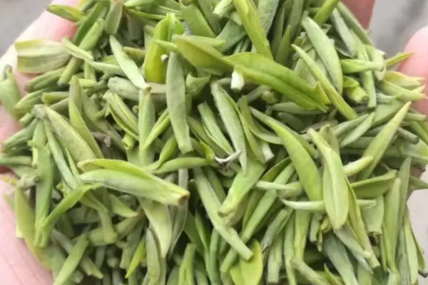 毛尖茶屬于綠茶嗎,毛尖是不是綠茶