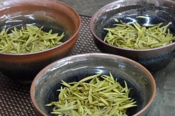 廬山云霧茶屬于什么茶,廬山云霧茶是哪種茶