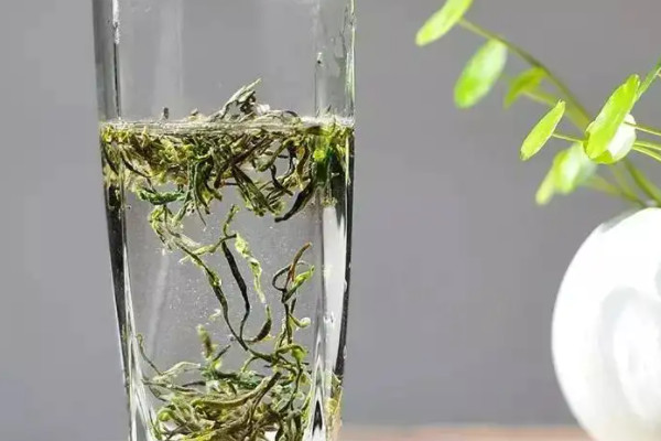 廬山云霧是綠茶嗎,廬山云霧是啥茶