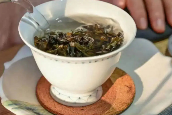 白芽奇蘭是紅茶還是綠茶,白芽奇蘭茶是什么茶