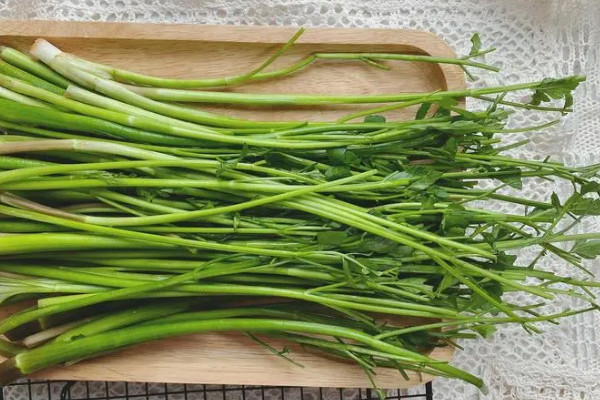 去火的蔬菜,吃什么蔬菜去火最快