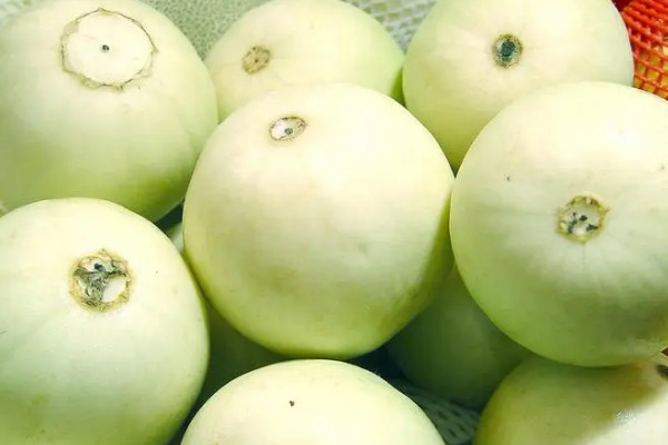 香瓜產(chǎn)地主要在哪個(gè)省,香瓜是哪里產(chǎn)的