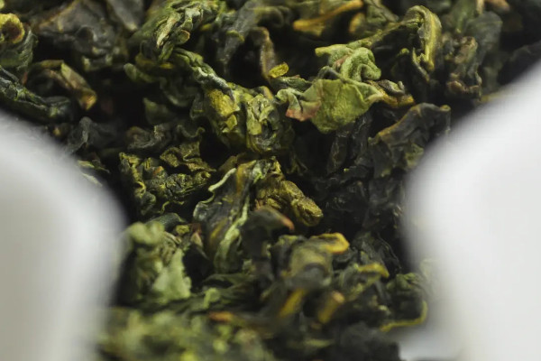 高山茶的特點,高山茶有什么特點