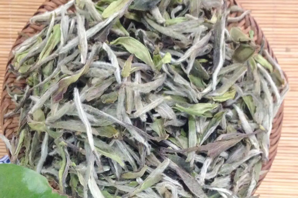 高山茶的特點,高山茶有什么特點