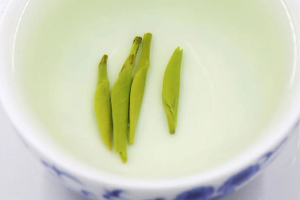 金壇雀舌屬于什么茶類,金壇雀舌是什么茶樹