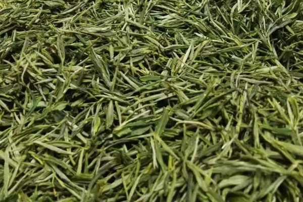 岳西翠蘭是什么茶,岳西翠蘭是啥茶