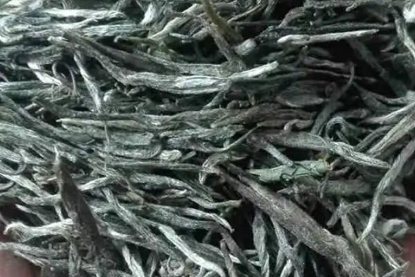 古丈毛尖是哪里產的,古丈毛尖產地