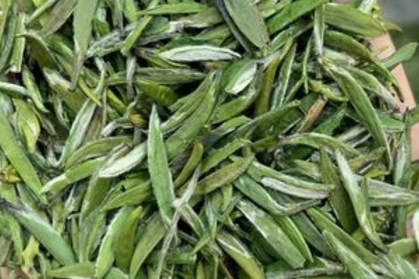 漢中仙毫是啥茶,漢中仙毫是什么茶葉