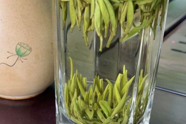 漢中仙毫是啥茶,漢中仙毫是什么茶葉