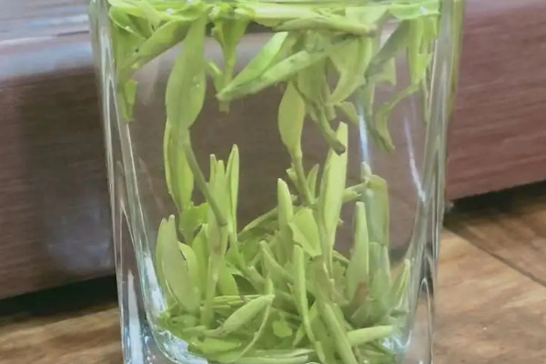 漢中仙毫是紅茶還是綠茶,漢中仙毫屬于什么茶